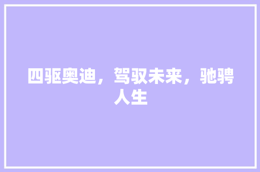 四驱奥迪，驾驭未来，驰骋人生