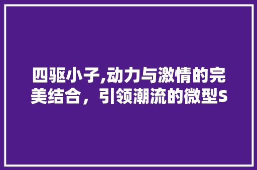 四驱小子,动力与激情的完美结合，引领潮流的微型SUV传奇