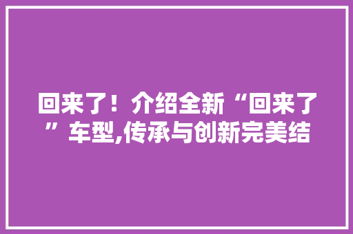 回来了！介绍全新“回来了”车型,传承与创新完美结合