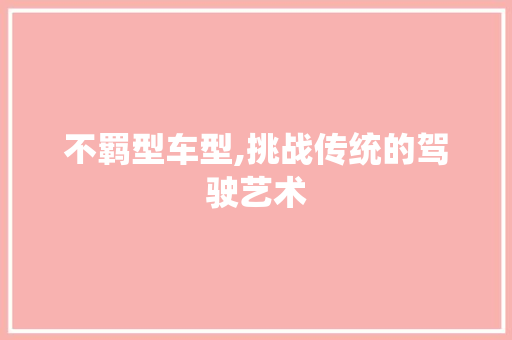 不羁型车型,挑战传统的驾驶艺术
