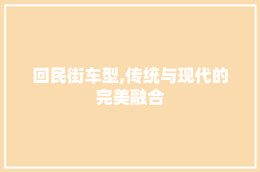 回民街车型,传统与现代的完美融合