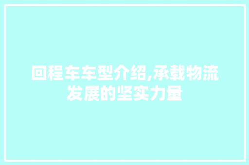 回程车车型介绍,承载物流发展的坚实力量