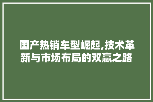 国产热销车型崛起,技术革新与市场布局的双赢之路