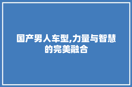 国产男人车型,力量与智慧的完美融合