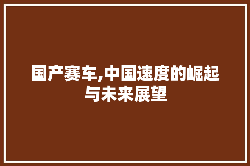 国产赛车,中国速度的崛起与未来展望