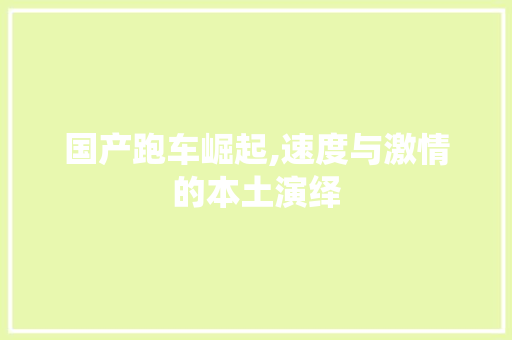 国产跑车崛起,速度与激情的本土演绎
