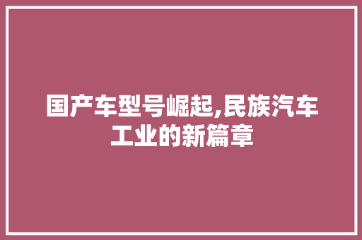 国产车型号崛起,民族汽车工业的新篇章