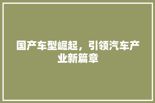 国产车型崛起，引领汽车产业新篇章 蓄电池配件