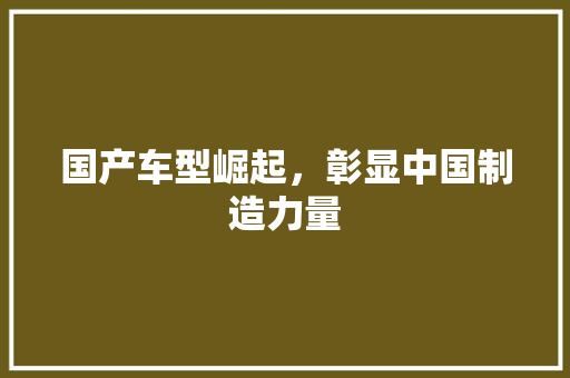 国产车型崛起，彰显中国制造力量