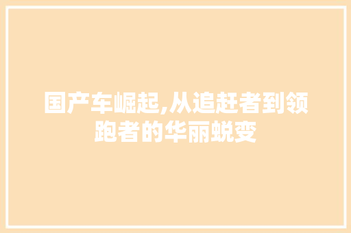 国产车崛起,从追赶者到领跑者的华丽蜕变