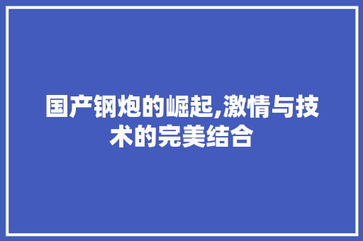 国产钢炮的崛起,激情与技术的完美结合