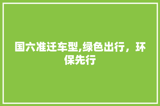国六准迁车型,绿色出行，环保先行