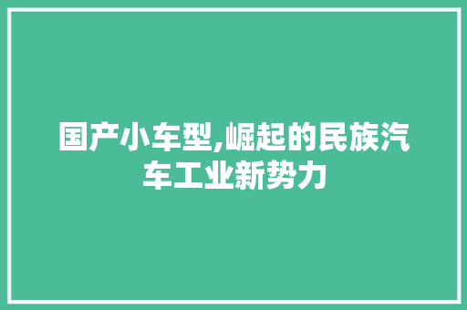 国产小车型,崛起的民族汽车工业新势力