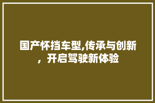 国产怀挡车型,传承与创新，开启驾驶新体验