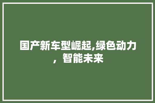 国产新车型崛起,绿色动力，智能未来