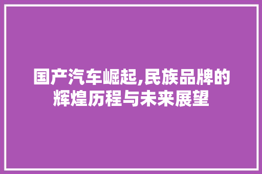 国产汽车崛起,民族品牌的辉煌历程与未来展望 新款车型