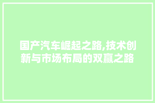 国产汽车崛起之路,技术创新与市场布局的双赢之路