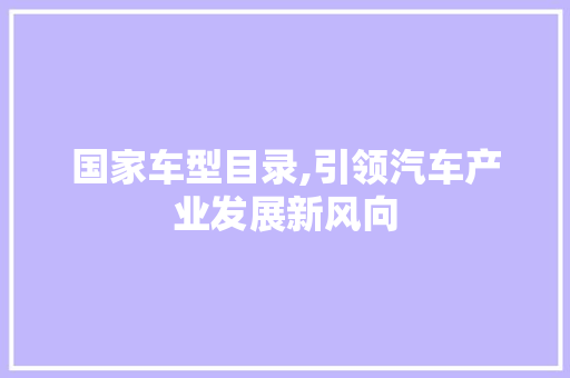 国家车型目录,引领汽车产业发展新风向