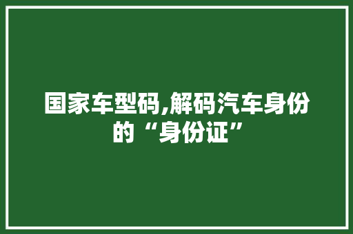 国家车型码,解码汽车身份的“身份证” 车灯配件