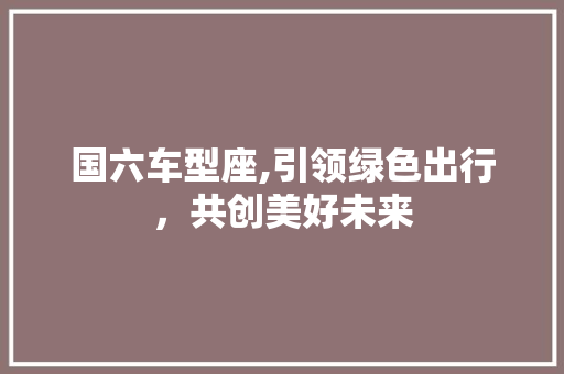 国六车型座,引领绿色出行，共创美好未来