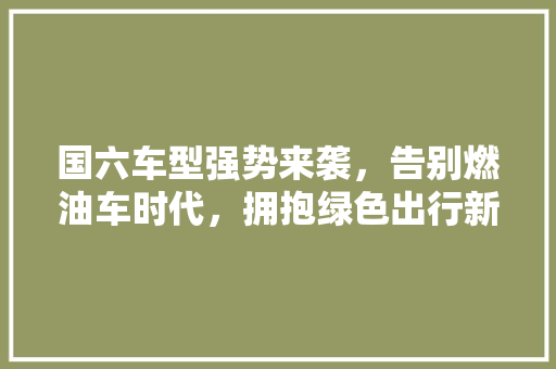 国六车型强势来袭，告别燃油车时代，拥抱绿色出行新篇章