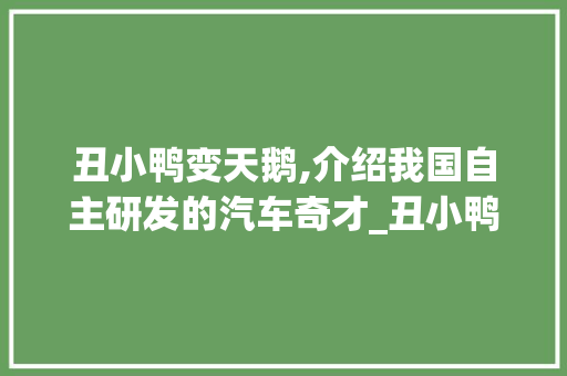 丑小鸭变天鹅,介绍我国自主研发的汽车奇才_丑小鸭车型