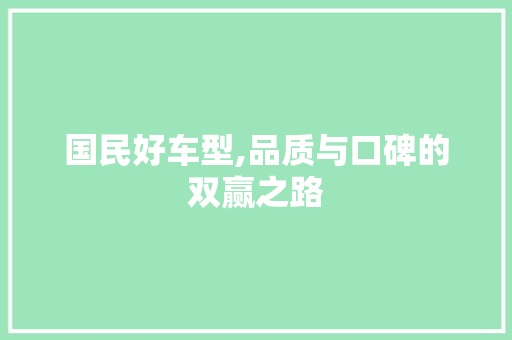 国民好车型,品质与口碑的双赢之路