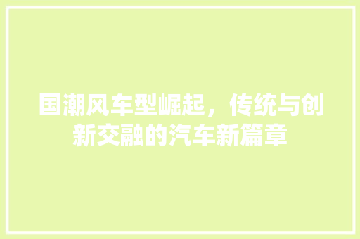 国潮风车型崛起，传统与创新交融的汽车新篇章