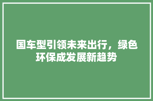 国车型引领未来出行，绿色环保成发展新趋势