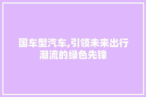 国车型汽车,引领未来出行潮流的绿色先锋