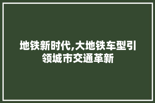 地铁新时代,大地铁车型引领城市交通革新