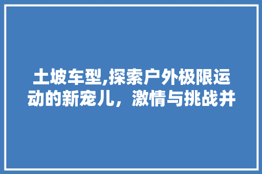 土坡车型,探索户外极限运动的新宠儿，激情与挑战并存