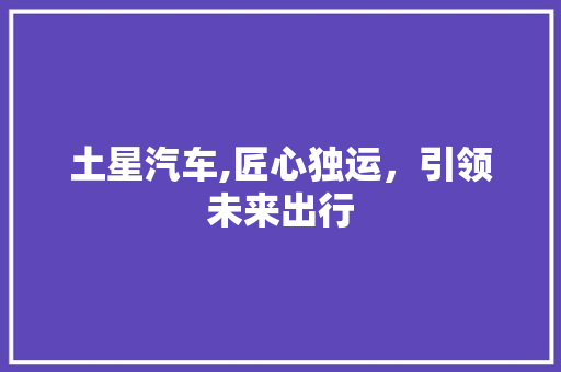 土星汽车,匠心独运，引领未来出行