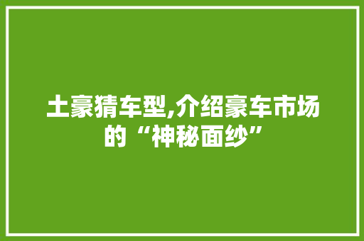 土豪猜车型,介绍豪车市场的“神秘面纱”