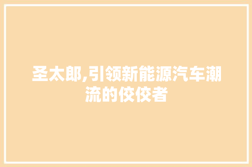 圣太郎,引领新能源汽车潮流的佼佼者