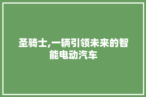 圣骑士,一辆引领未来的智能电动汽车