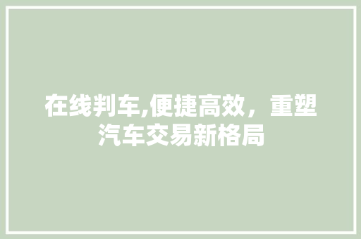 在线判车,便捷高效，重塑汽车交易新格局
