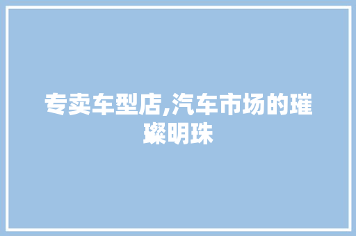 专卖车型店,汽车市场的璀璨明珠
