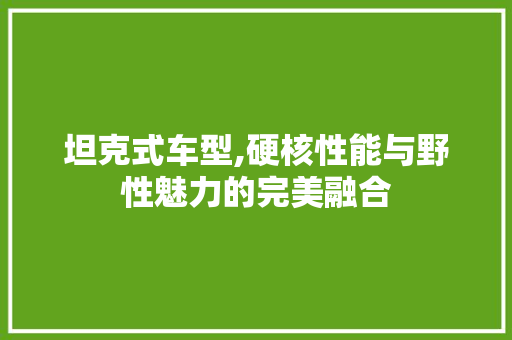 坦克式车型,硬核性能与野性魅力的完美融合 发动机配件