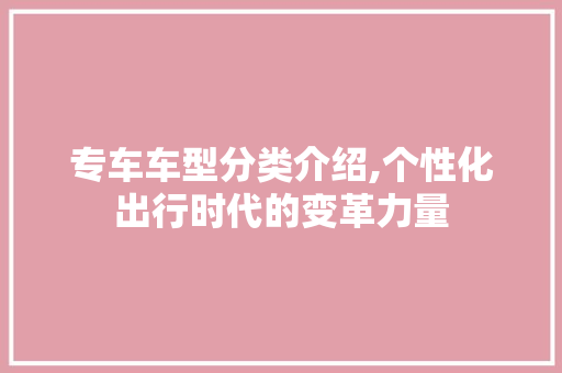专车车型分类介绍,个性化出行时代的变革力量