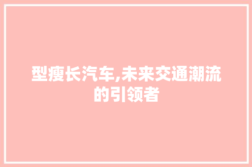 型瘦长汽车,未来交通潮流的引领者