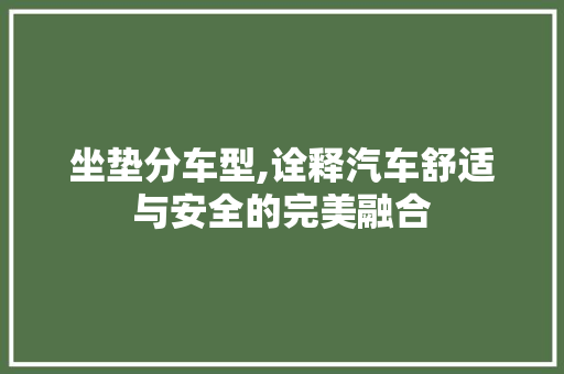 坐垫分车型,诠释汽车舒适与安全的完美融合