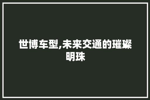 世博车型,未来交通的璀璨明珠