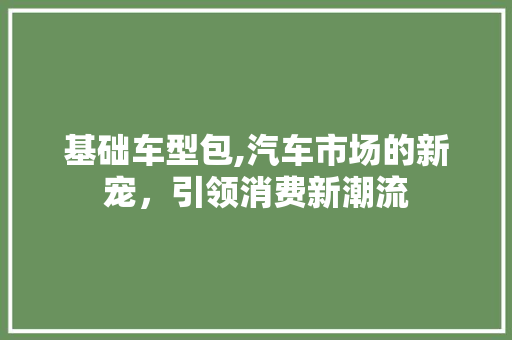 基础车型包,汽车市场的新宠，引领消费新潮流