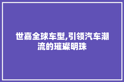 世嘉全球车型,引领汽车潮流的璀璨明珠