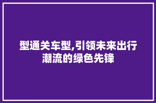 型通关车型,引领未来出行潮流的绿色先锋