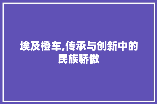 埃及橙车,传承与创新中的民族骄傲