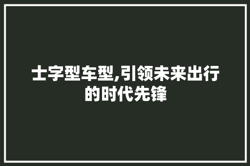 士字型车型,引领未来出行的时代先锋