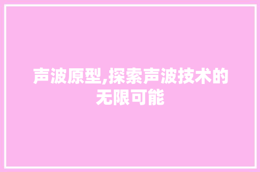 声波原型,探索声波技术的无限可能