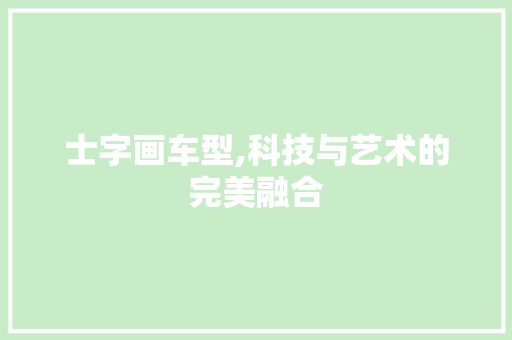 士字画车型,科技与艺术的完美融合